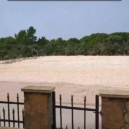 Dawidh Šibenik